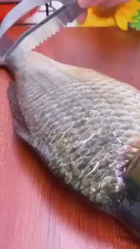 Stainless Steel Fish Scaler & Scraper Remover – Fast, Easy & Mess-Free Fish Cleaning